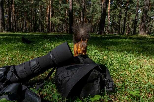 Maintenance Tips for Gear After Outdoor Expeditions